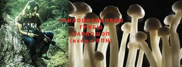 СК Володарск